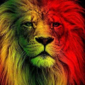 Meet your Posher, Andres